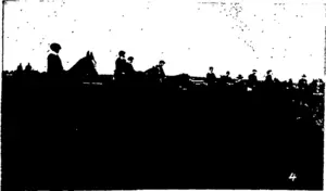 Untitled Illustration (Otago Witness, 04 November 1903)