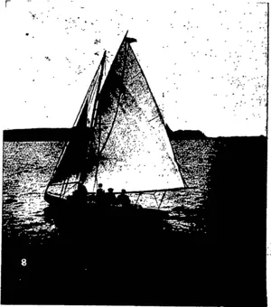 Untitled Illustration (Otago Witness, 11 November 1903)