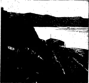 VIEW OF THE' LOWER HARBOUR FROM QUEEN'S DRIVE, LOOKING TOWARDS THE POWDER MAGAZINE. (Otago Witness, 18 November 1903)