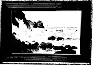 AFTER A STORM, PUKETERAKI. (Otago Witness, 18 November 1903)