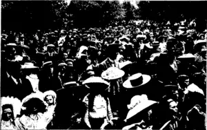 ANOTHER SECTION OF THE CROWD IN FRONT OF THE BAND ROTUNDA. (Otago Witness, 18 November 1903)