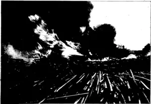 DESTRUCTIVE FIRE AT MESSRS W. BOOTH AND COS. PLANING MILL, CARTERTON, NEAR WELLINGTON. (Otago Witness, 18 November 1903)