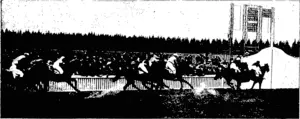 THE RACE FOR THE NEW ZEALAND CUP: PASSING THE STAND THE FIRST TIME ROUND (Otago Witness, 18 November 1903)