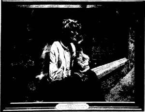 DARBY AND JOAN. (Otago Witness, 25 November 1903)