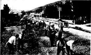 DUNEDIN CITY CORPORATION ELECTRIC TRAMWAYS: A LARGE GANG OF MEN AT WORK ON THE NORTH —Guy, photo. EAST VALLEY SECTION OF THE LINE. (Otago Witness, 25 November 1903)