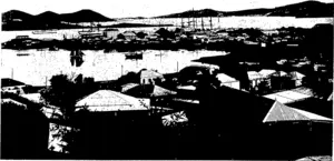 VIEW OP THE WHARVES (Otago Witness, 02 December 1903)