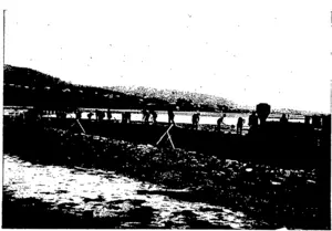 EXCAVATINO FOR THE NEW RAILWAY BRIDGE, RIVERTON. (Otago Witness, 30 December 1903)