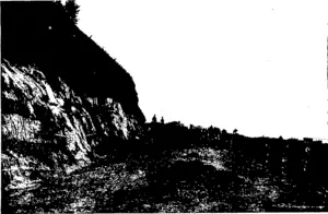 THE MILL ROAD, LEADING FROM MOKNINGTON TO THE ROSLYN WOOLLEN MILLS.  The Mill Road is i"terest:ng from a geological point of view. The upper strata is composed of rock, a thin layer of lignite  separating it from a vast bed of fine white «and. (Otago Witness, 30 December 1903)