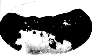 Untitled Illustration (Otago Witness, 30 December 1903)