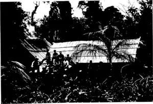 VIEW ON THE KAEO RIVER, SHOWING TOWNSHIP IN THE DISTANCE. A PICTURESQUE BUSHMAN'S SHANTY IN THE WHAKATETEREKEA BUSH, HOKIANGA. (Otago Witness, 30 December 1903)
