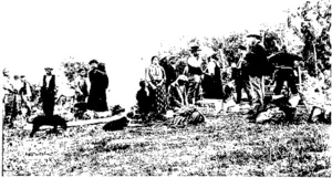 LUNCH WITH THE UKEWERAS—OLJJ POISON IN THE CENTRE (KNEELIAG; (Otago Witness, 27 April 1904)
