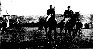FLOWER O' CLUTHA RETURNING TO SCALE AFTER WINNING THE FORBURY  HANDICAP. (Otago Witness, 27 April 1904)