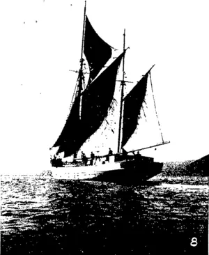 Untitled Illustration (Otago Witness, 27 April 1904)