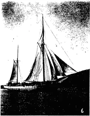 Untitled Illustration (Otago Witness, 27 April 1904)