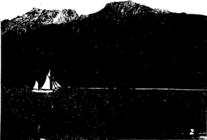 Untitled Illustration (Otago Witness, 27 April 1904)