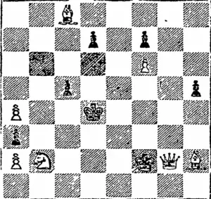 White 8 pieces. (Otago Witness, 16 November 1904)