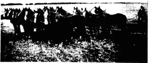 DRAIN PLOUGHING IN SOUTHLAND. MESSRS BAIRD AND ANDERSON'S TEAM, LIMESTONE PLAINS, WALLACE. (Otago Witness, 21 November 1906)