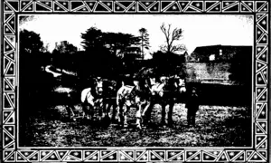 PLOUGHING IX THE OLD COUXTKY A TYPICAL FOUR-HORSE TEAM (Otago Witness, 19 December 1906)