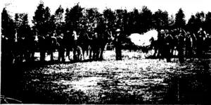 JUDGING THE DRY MARES.  (Photos by George W. Milne ) (Otago Witness, 27 May 1908)