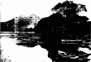 A SCENE ON THE WAIKATO RIVER AT TAUPIRI.  In the distance is seen Mount Taupiri, the burial place of the Maori king, Ta-whiao. (Otago Witness, 02 September 1908)
