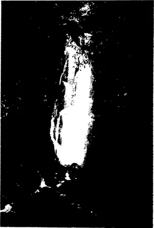 Reynolds, photo. NICOL'S CREEK WATERFALLS, DUNEDIN. (Otago Witness, 02 September 1908)