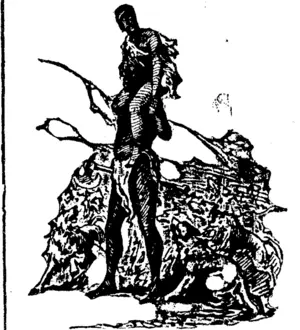 Untitled Illustration (Ashburton Guardian, 25 October 1899)