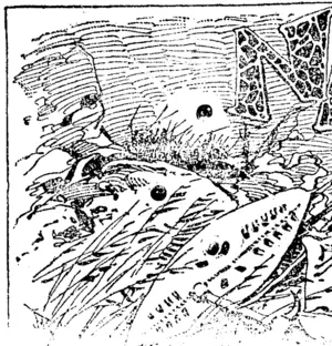 Untitled Illustration (Ashburton Guardian, 26 October 1899)
