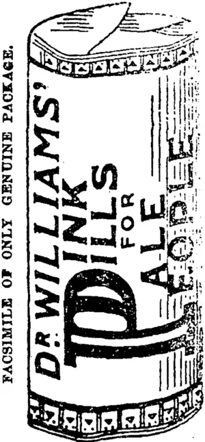Untitled Illustration (Akaroa Mail and Banks Peninsula Advertiser, 29 November 1898)