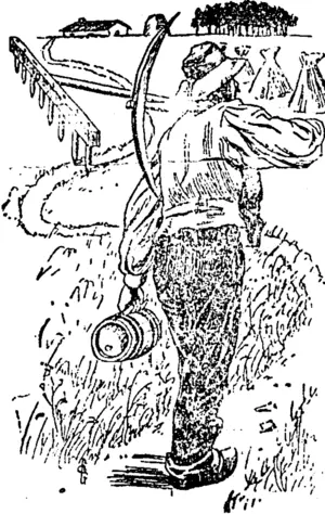Untitled Illustration (Akaroa Mail and Banks Peninsula Advertiser, 15 June 1900)