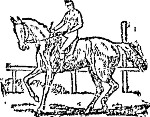 Untitled Illustration (Auckland Star, 24 February 1892)