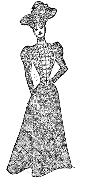 SMAET TAILOR-MADE GOWN, (Auckland Star, 04 September 1897)