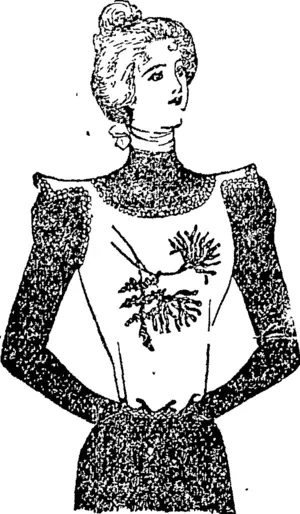 A NEW BODICE EMBROIDERY. (Auckland Star, 10 June 1899)