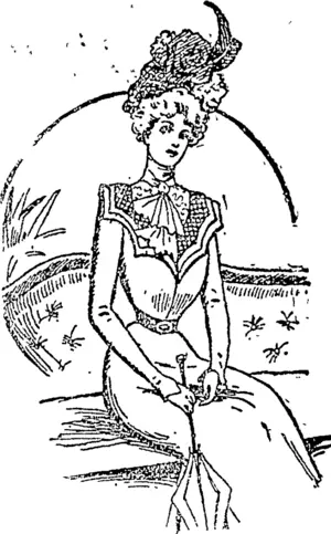 A.NEAT AND USEFUL GOWN. (Auckland Star, 20 January 1900)