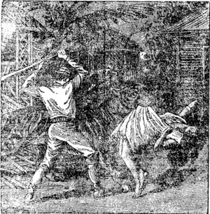DJALMALA, THE JUNGLE GIRL. ���*' seizing the first thing at hand  AND WIELDING IT WJTH BOTH HANDS, I DEALT THB MONSTER A TREMENDOUS BLOW ON THE FOREHEAD." (Bruce Herald, 28 September 1897)