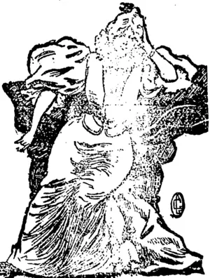 Untitled Illustration (Bruce Herald, 21 February 1899)