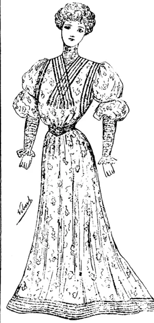 Untitled Illustration (Bruce Herald, 11 August 1905)