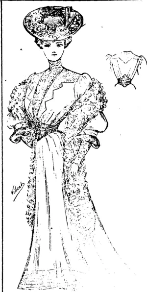 Untitled Illustration (Bruce Herald, 25 August 1905)