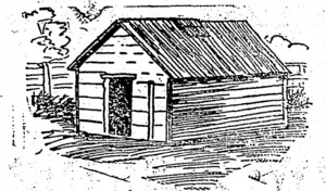 MODEL PORTABLE HOUSE. (Bruce Herald, 31 January 1905)