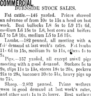 COMMERCIAL. (Clutha Leader 14-6-1901)