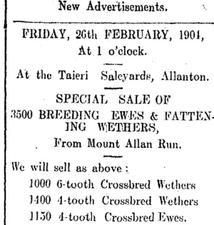 Page 2 Advertisements Column 2 (Clutha Leader 23-2-1904)