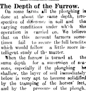 The Depth of the Furrow. (Clutha Leader 23-6-1905)