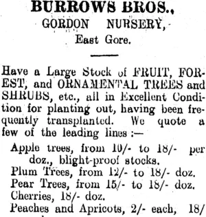 Page 6 Advertisements Column 3 (Clutha Leader 22-6-1906)