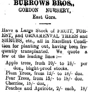 Page 7 Advertisements Column 4 (Clutha Leader 26-6-1906)