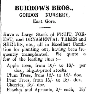 Page 2 Advertisements Column 2 (Clutha Leader 3-7-1906)