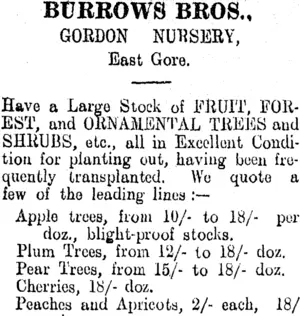 Page 2 Advertisements Column 3 (Clutha Leader 6-7-1906)