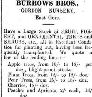 Page 2 Advertisements Column 2 (Clutha Leader 10-7-1906)