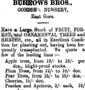 Page 2 Advertisements Column 2 (Clutha Leader 17-7-1906)