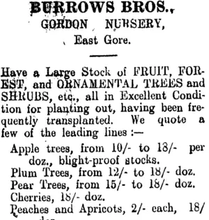 Page 2 Advertisements Column 2 (Clutha Leader 7-8-1906)