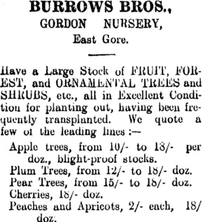 Page 2 Advertisements Column 2 (Clutha Leader 10-8-1906)