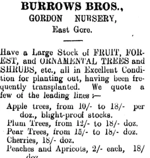 Page 2 Advertisements Column 3 (Clutha Leader 14-8-1906)